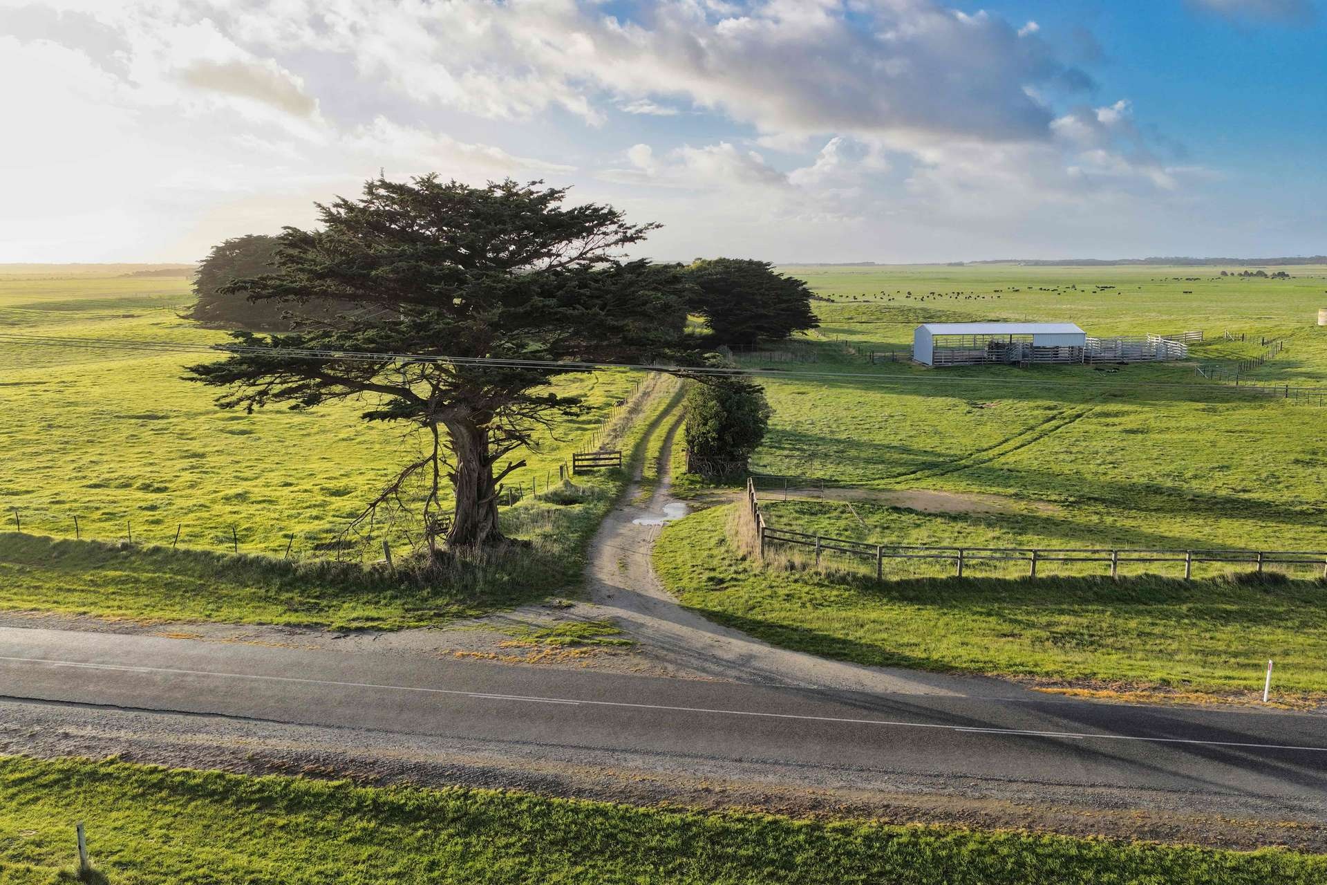 Cattle Property For Sale TAS