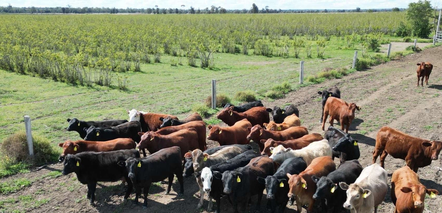 rural property for sale QLD