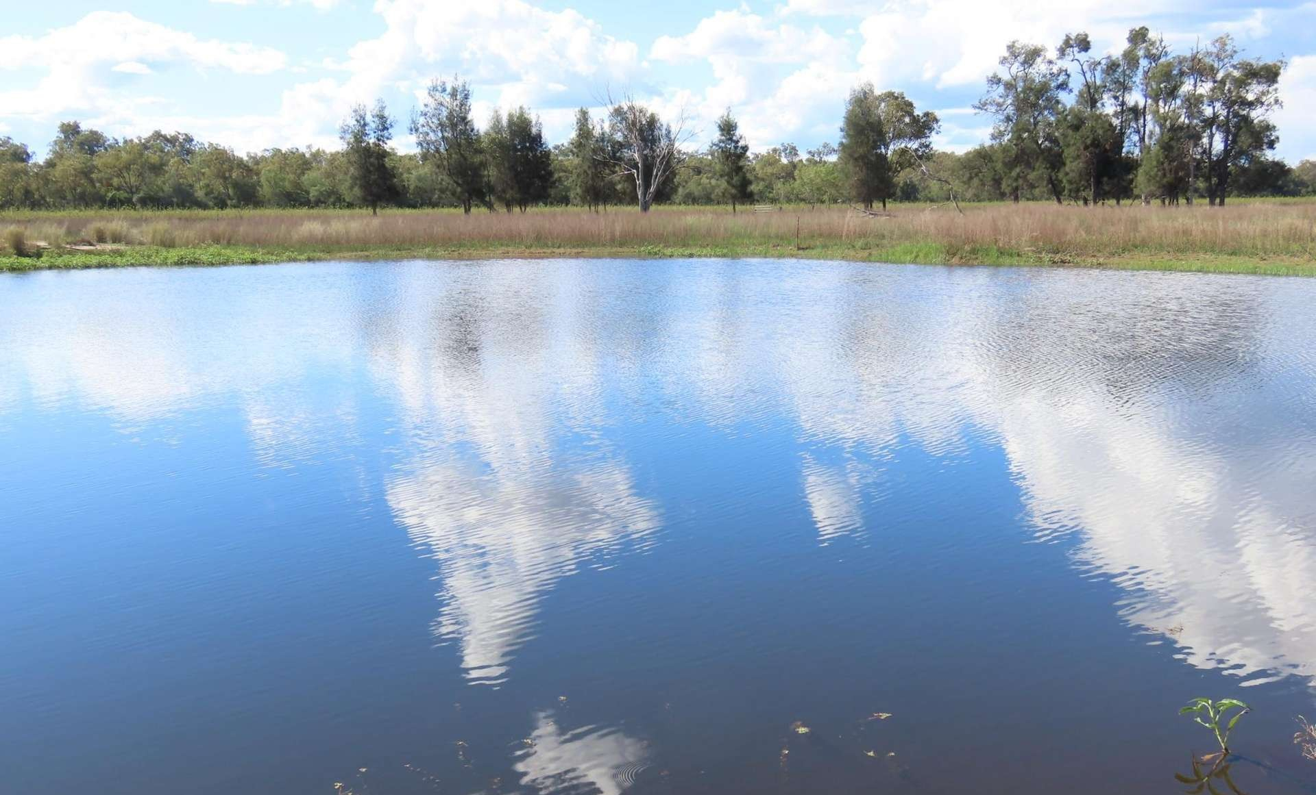 rural property for sale QLD