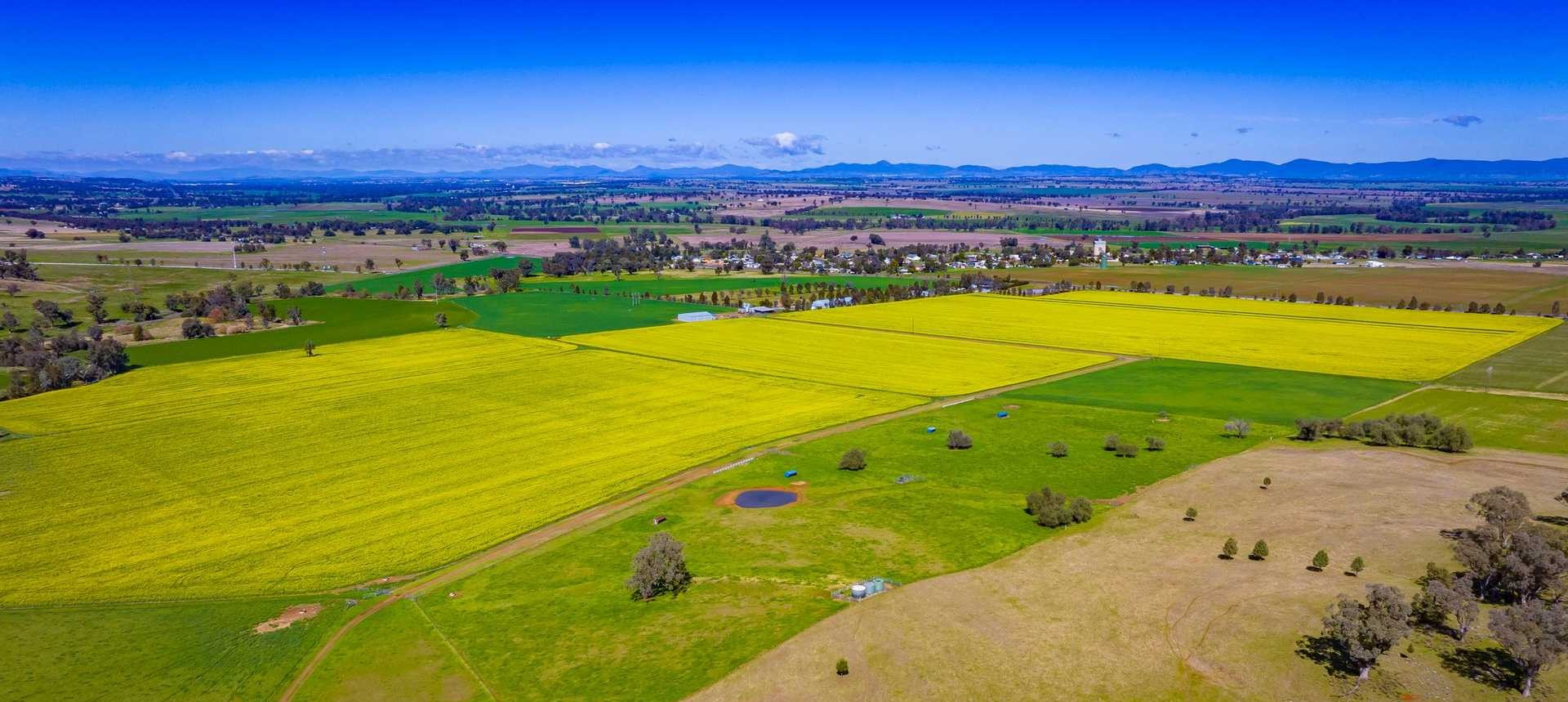 Farm For Sale Tamworth NSW