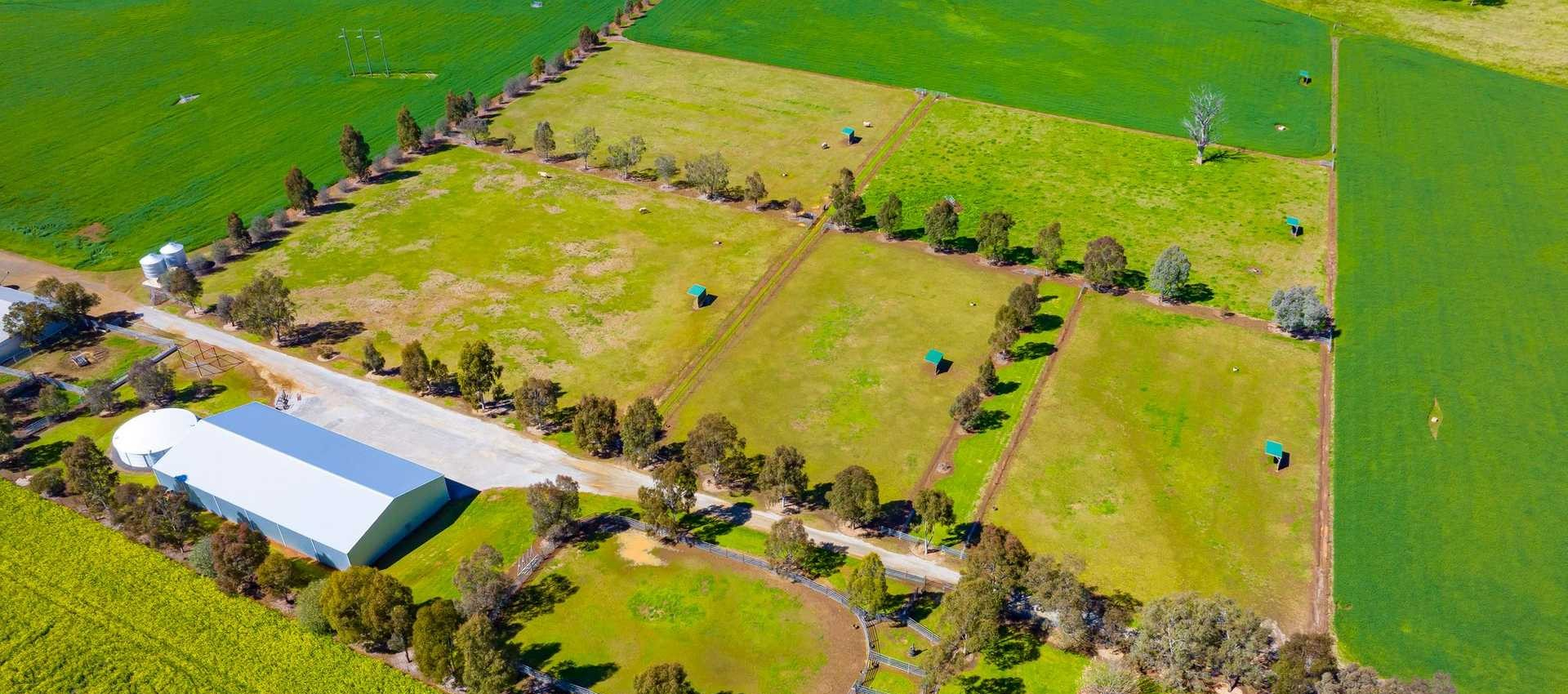 Farm For Sale Tamworth NSW
