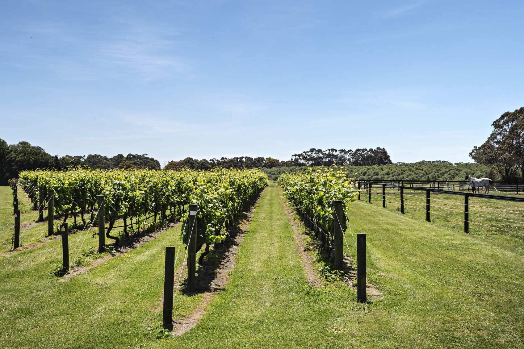 Waterfront Rural Property For Sale VIC