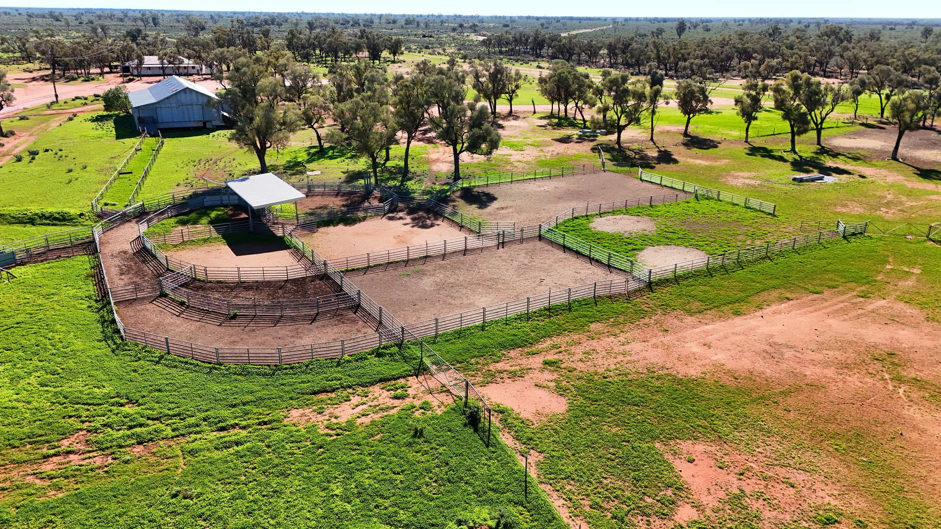 cattle property for sale NSW