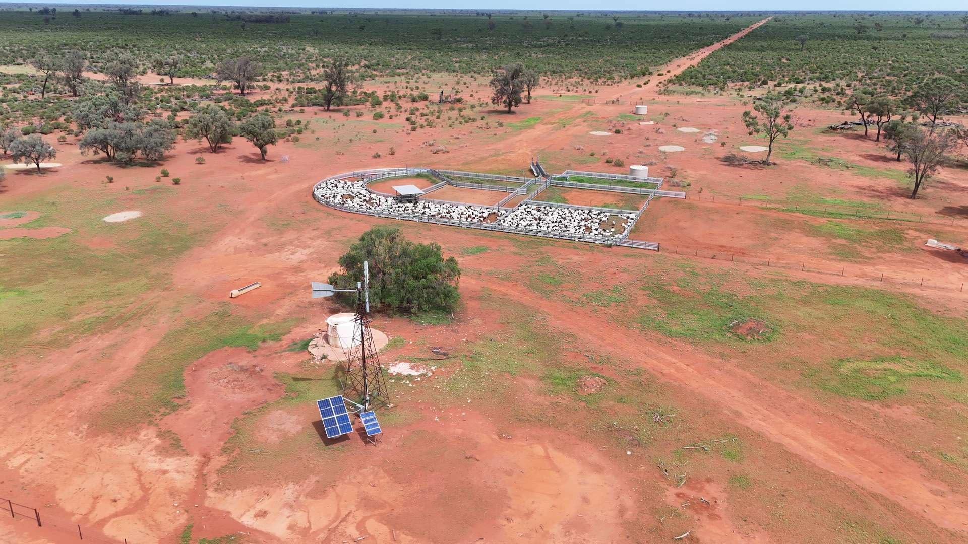 cattle property for sale NSW