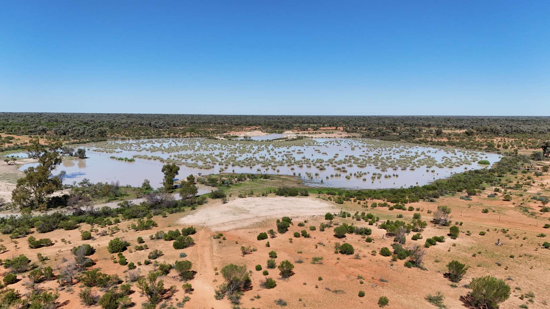 cattle property for sale NSW