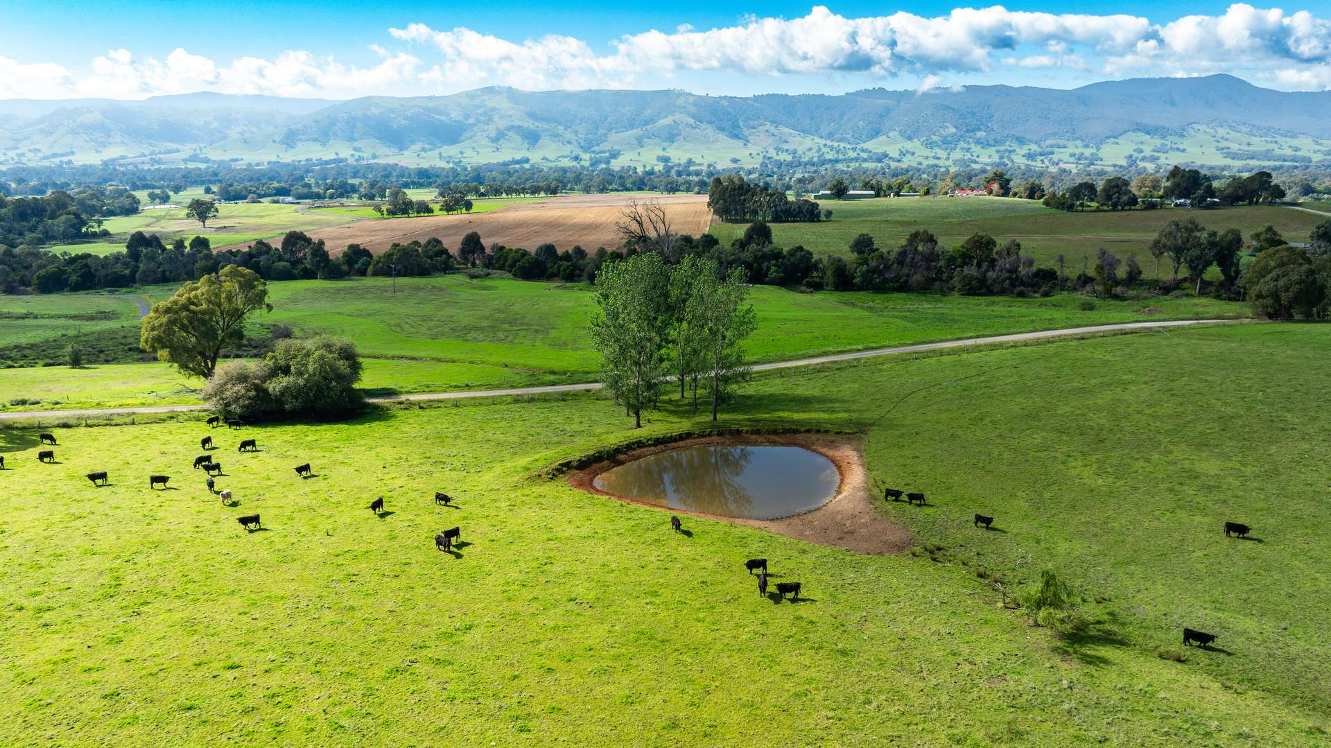 rural property for sale VIC