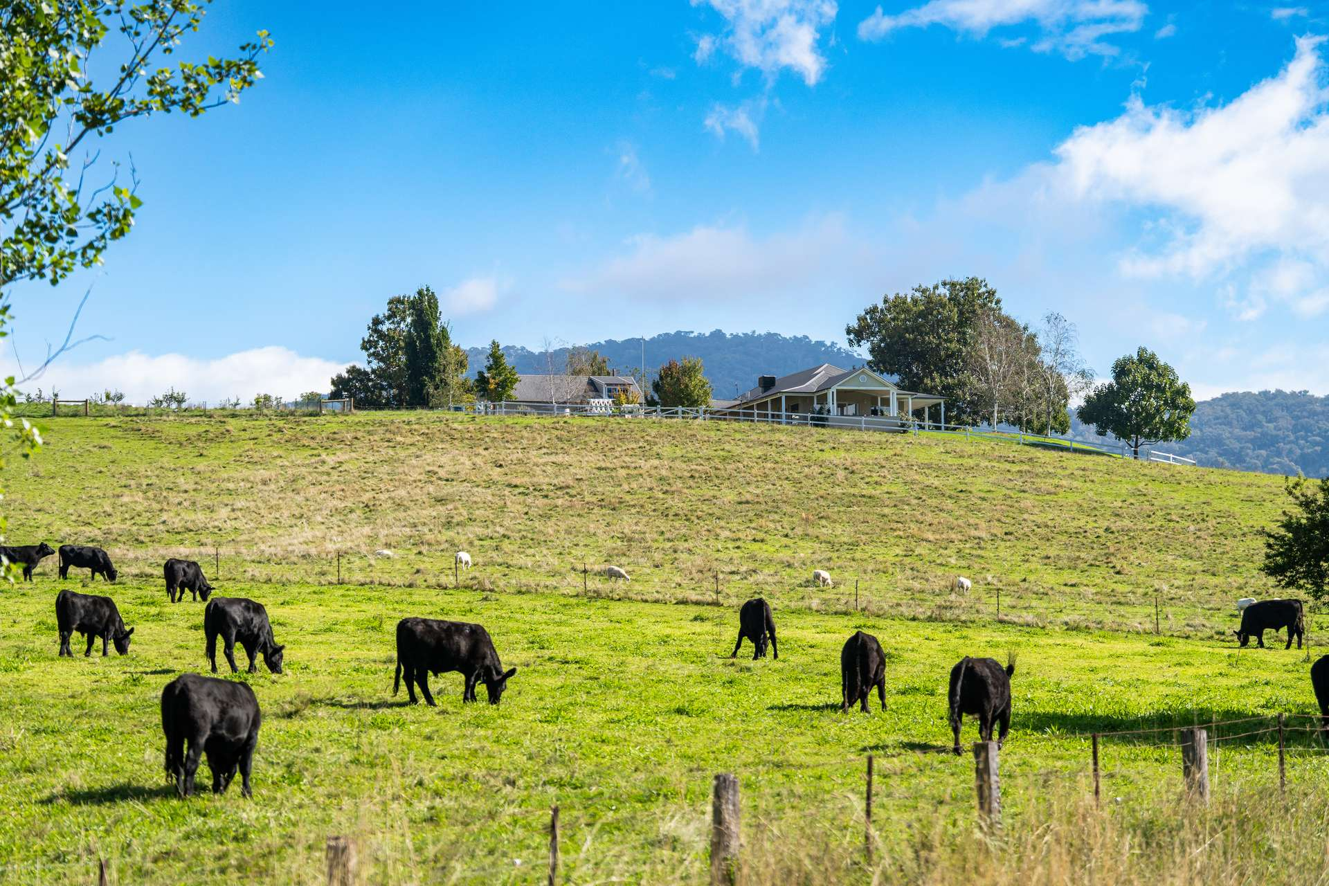 rural property for sale VIC
