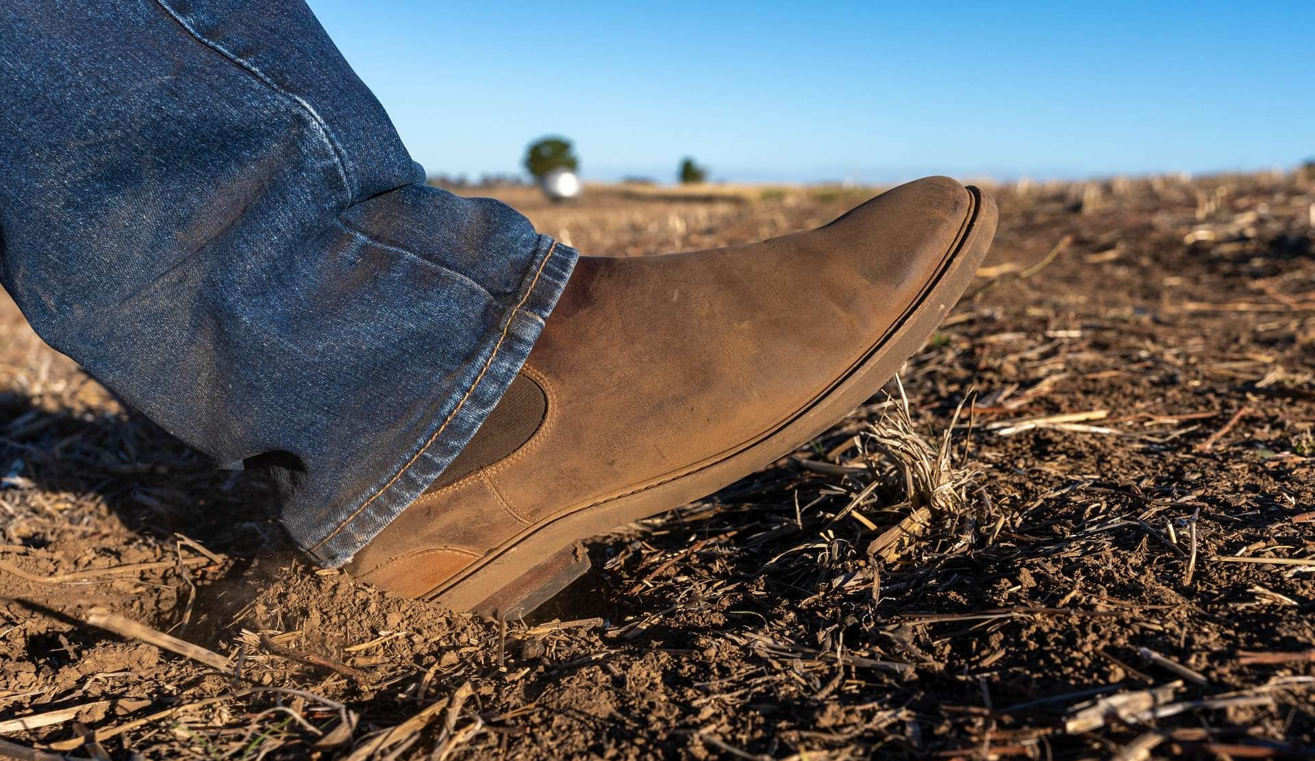 mixed farm for sale VIC