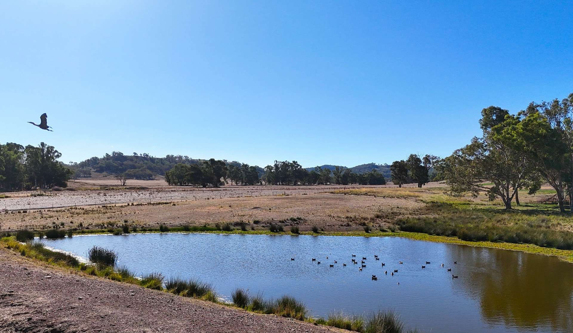mixed farm for sale VIC