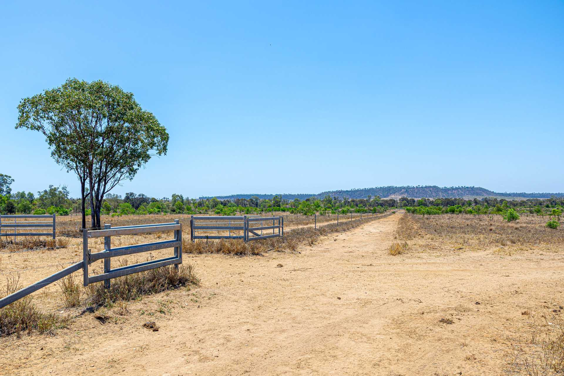 cattle property for sale QLD