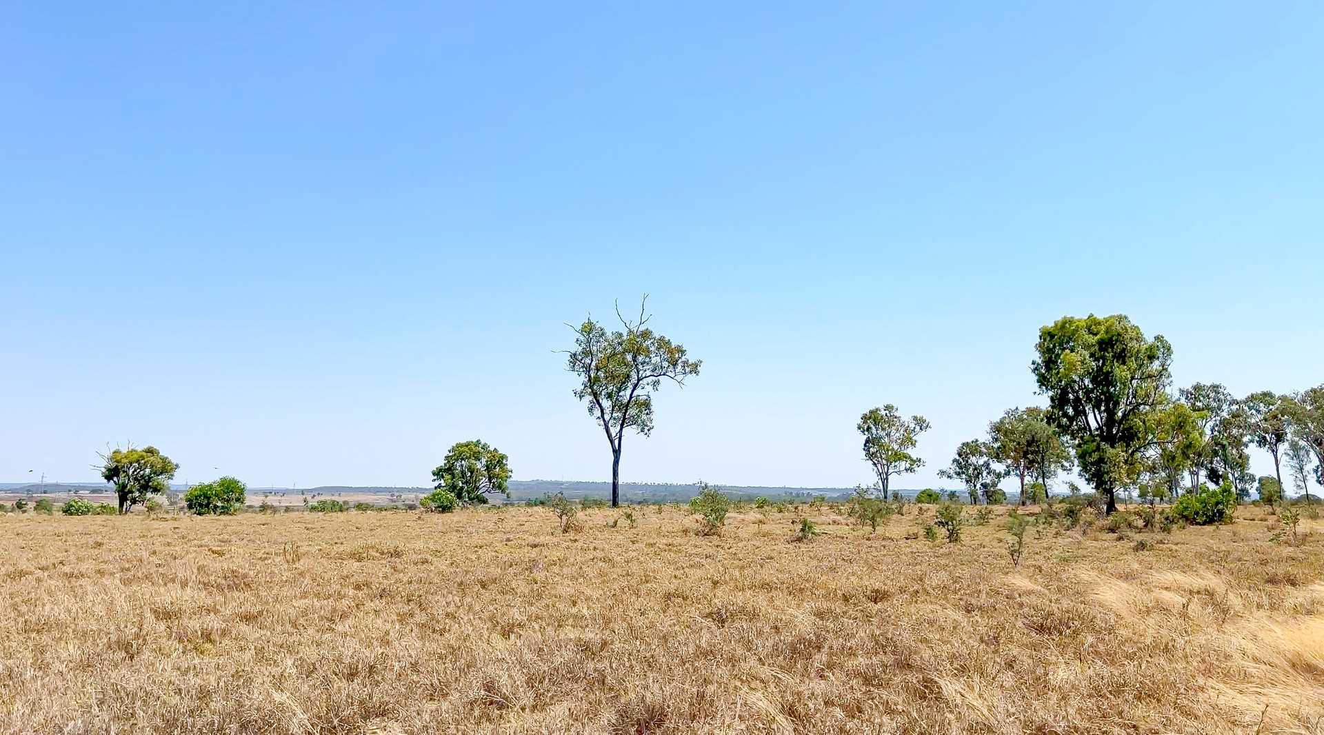 cattle property for sale QLD