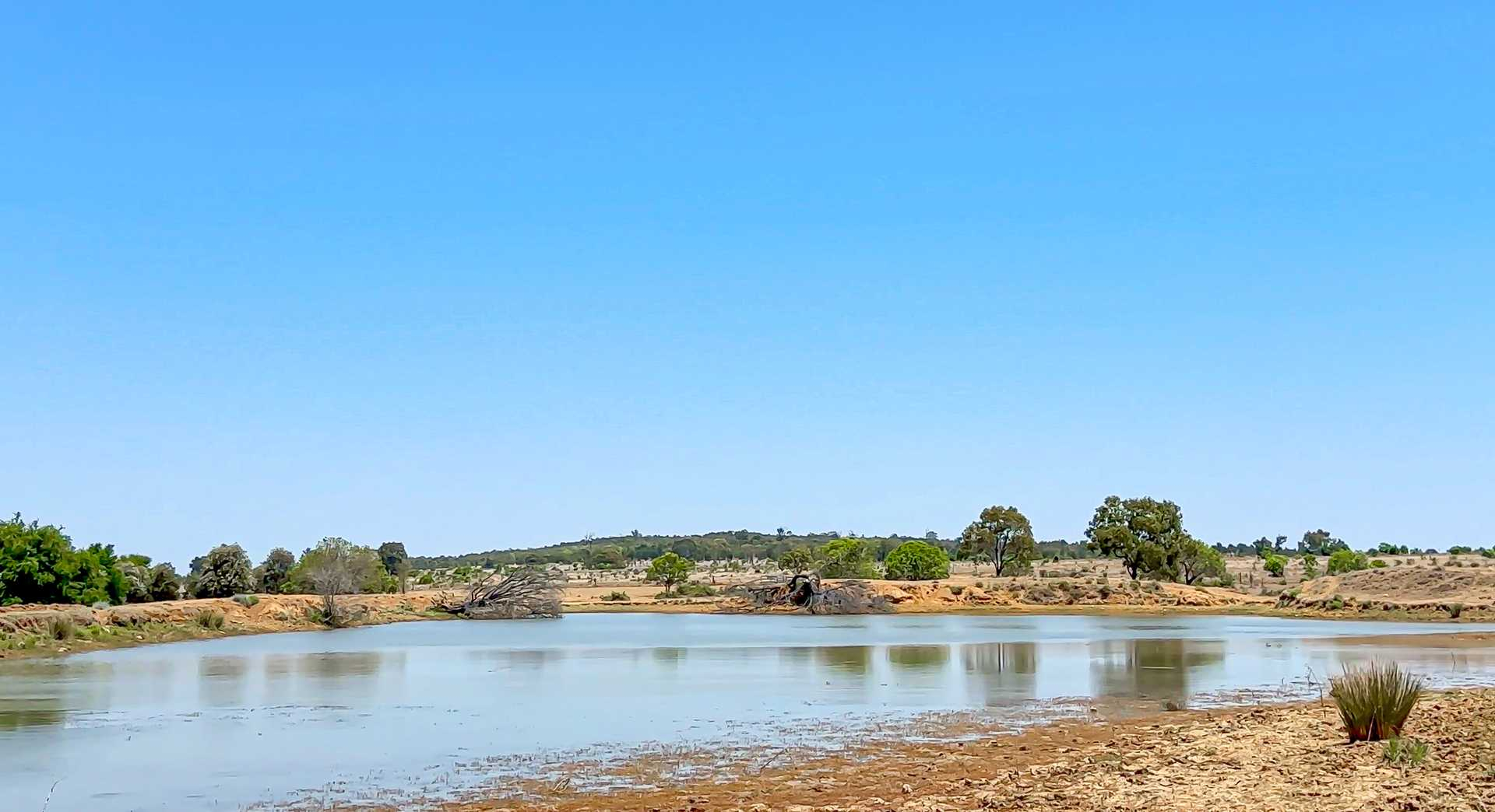 cattle property for sale QLD