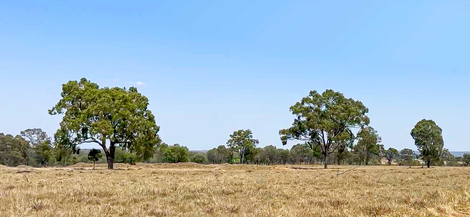 cattle property for sale QLD