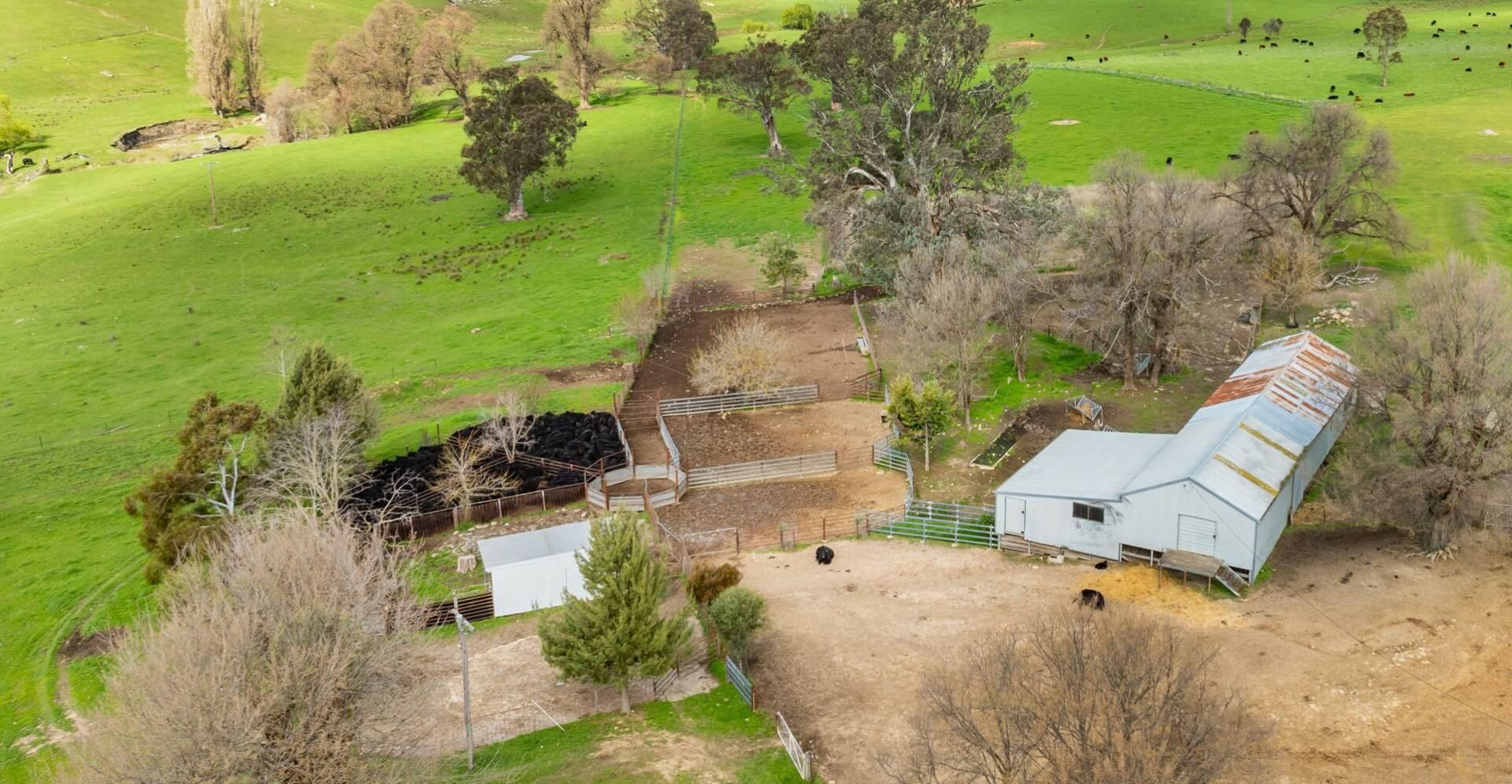 property for sale Wagga Wagga NSW