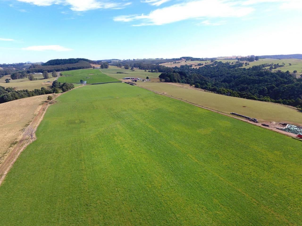 Farm For Sale Tasmania