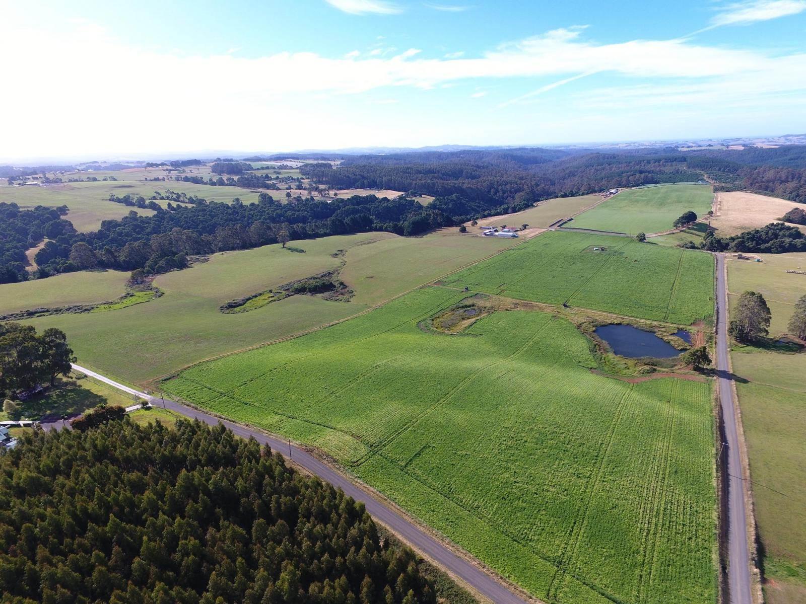 Farm For Sale Tasmania