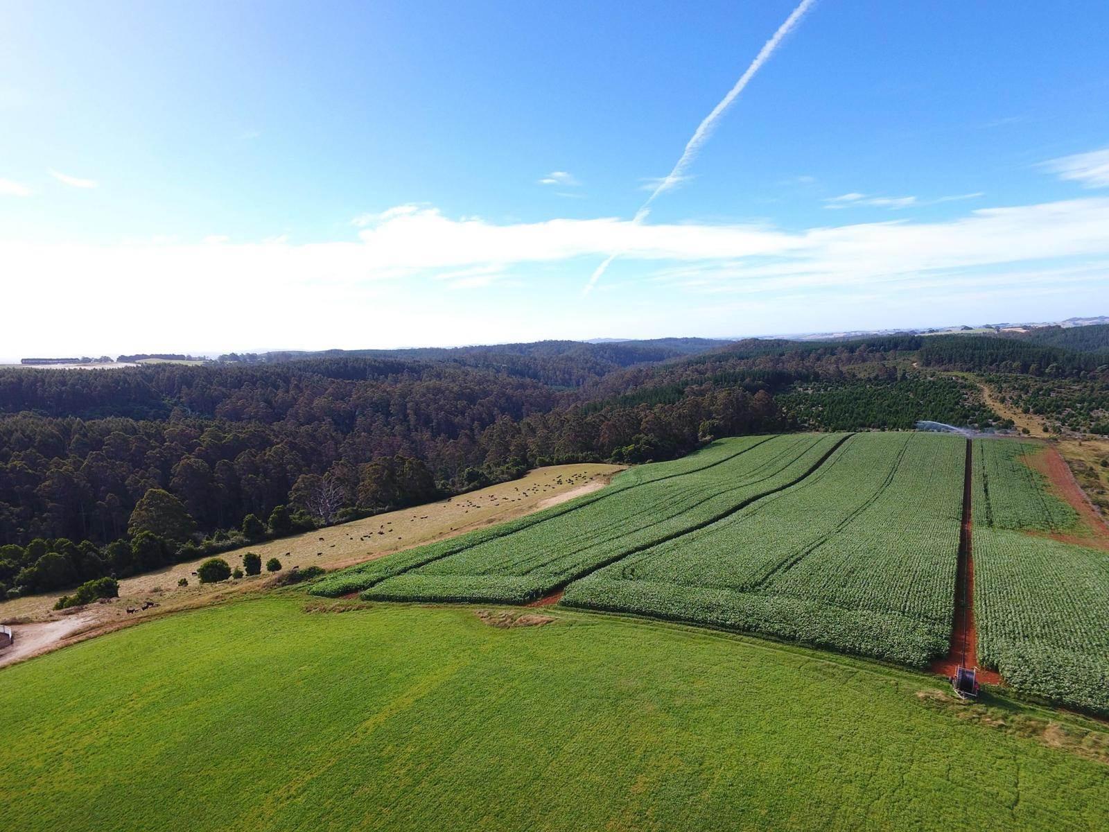 Farm For Sale Tasmania