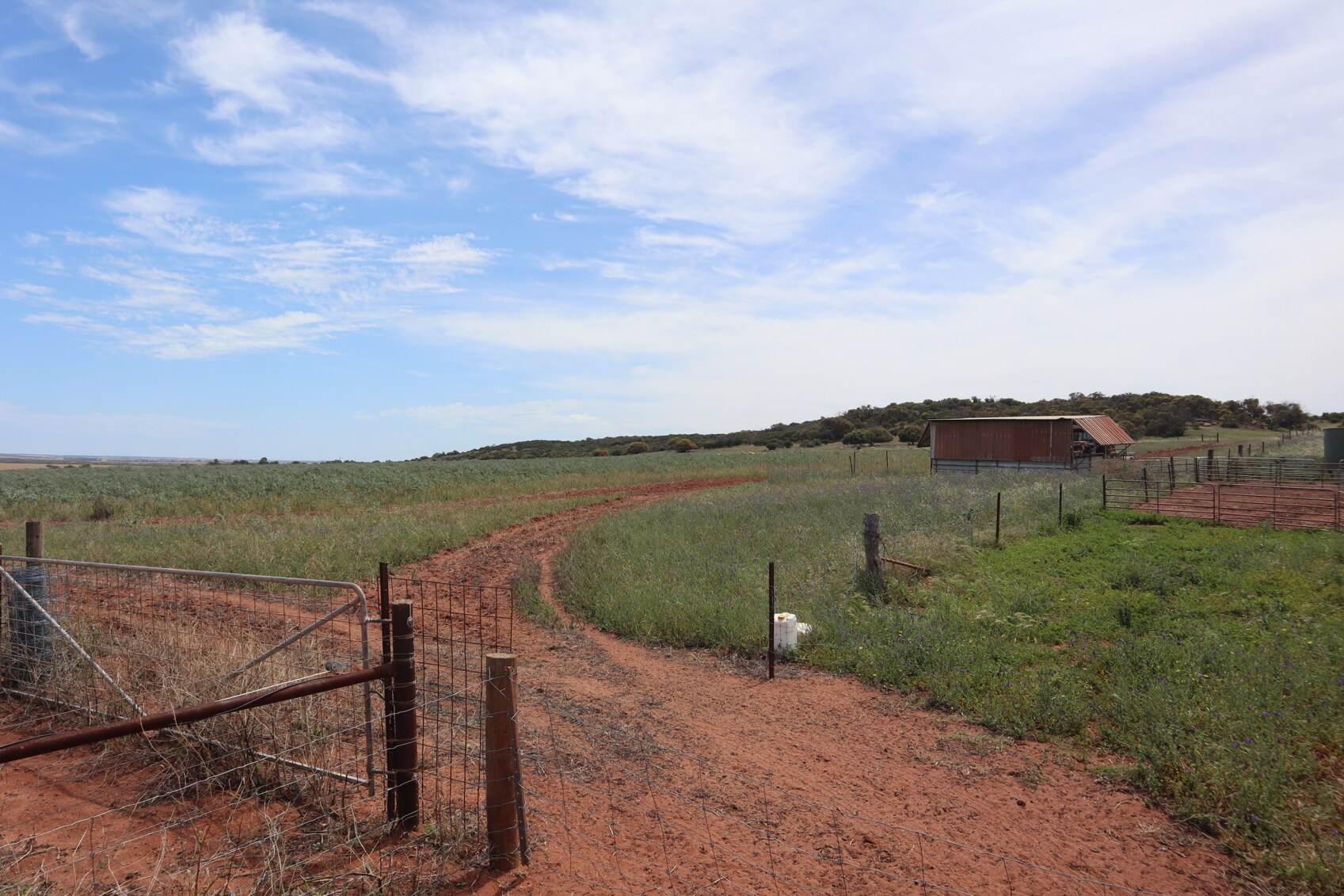 Farm For Sale WA