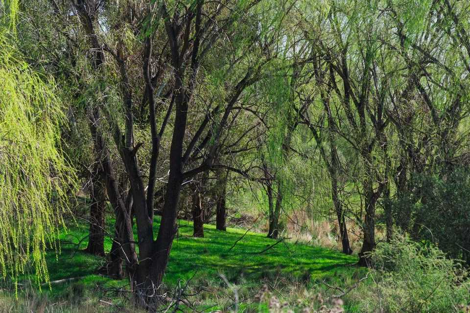 rural propety for sale NSW