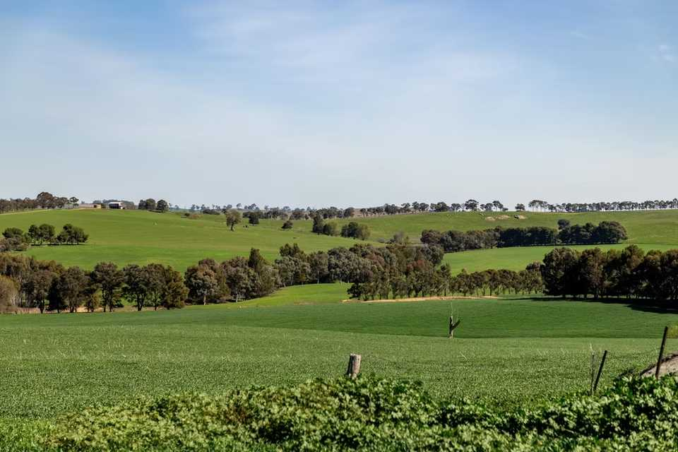 rural propety for sale NSW