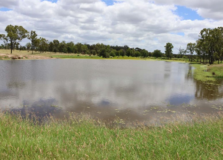 cattle property for sale QLD
