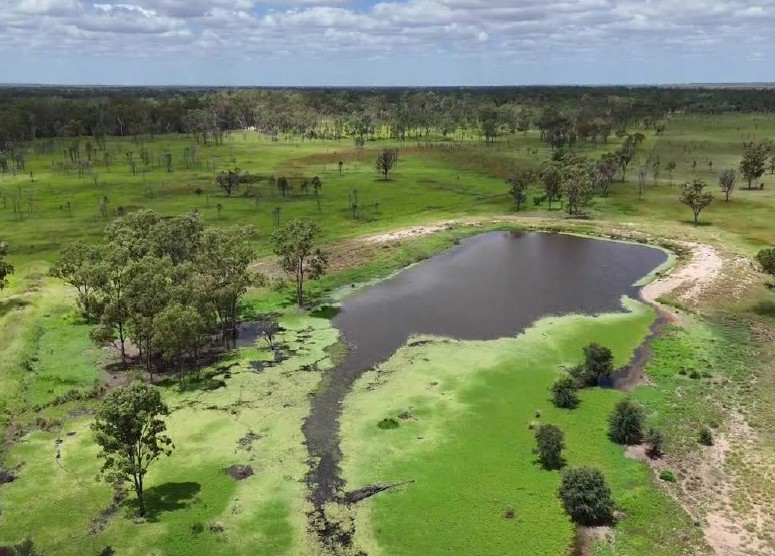 cattle property for sale QLD