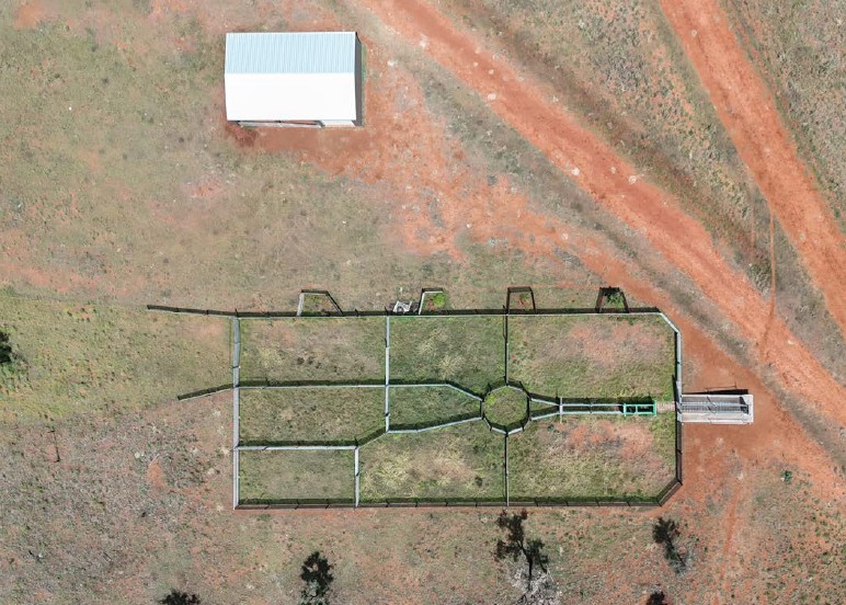 cattle property for sale QLD