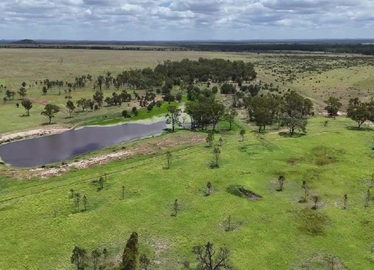 cattle property for sale QLD