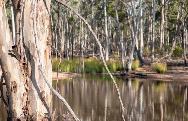 rural property for sale NSW