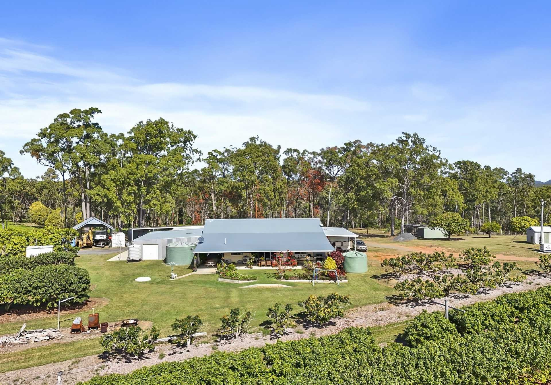 Orchard For Sale QLD