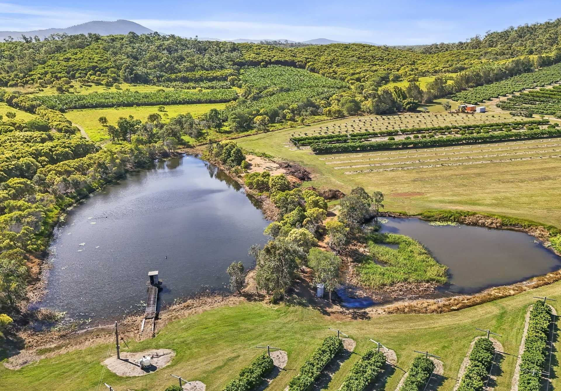 Orchard For Sale QLD