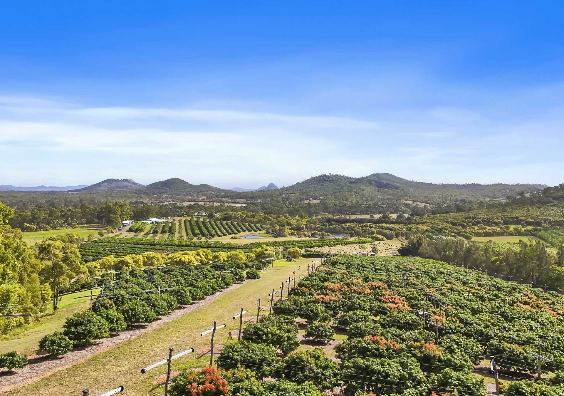 Orchard For Sale QLD