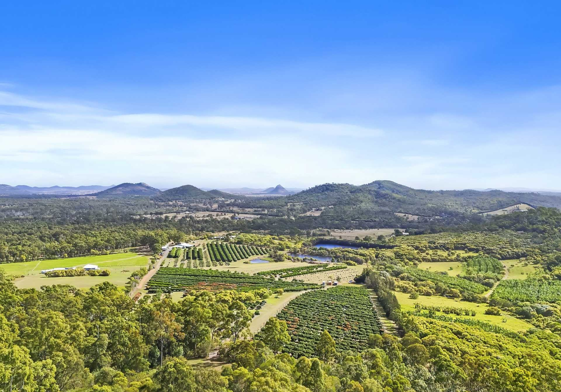 Orchard For Sale QLD