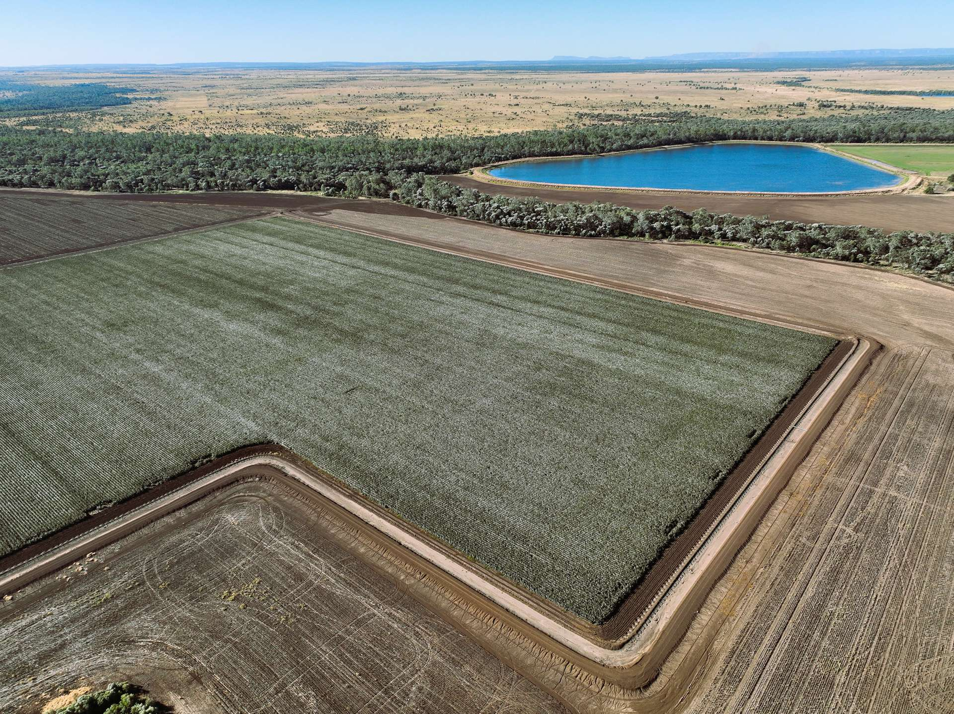  irrigated farm for sale QLD