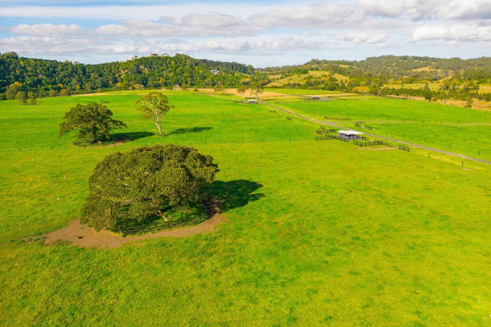 Rarefied Rural Property For Sale Mid North Coast NSW