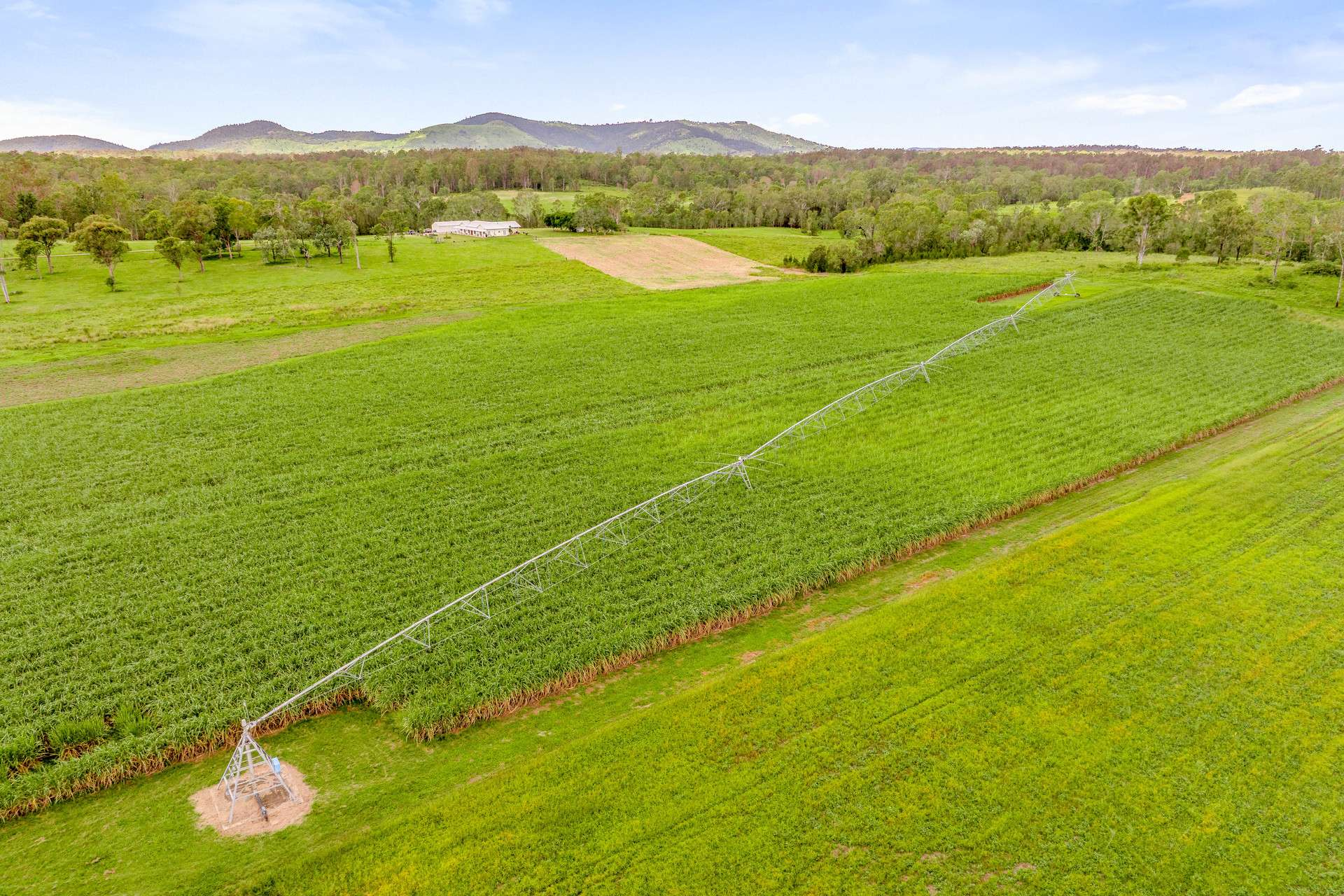 Irrigated Rural Property For Sale QLD