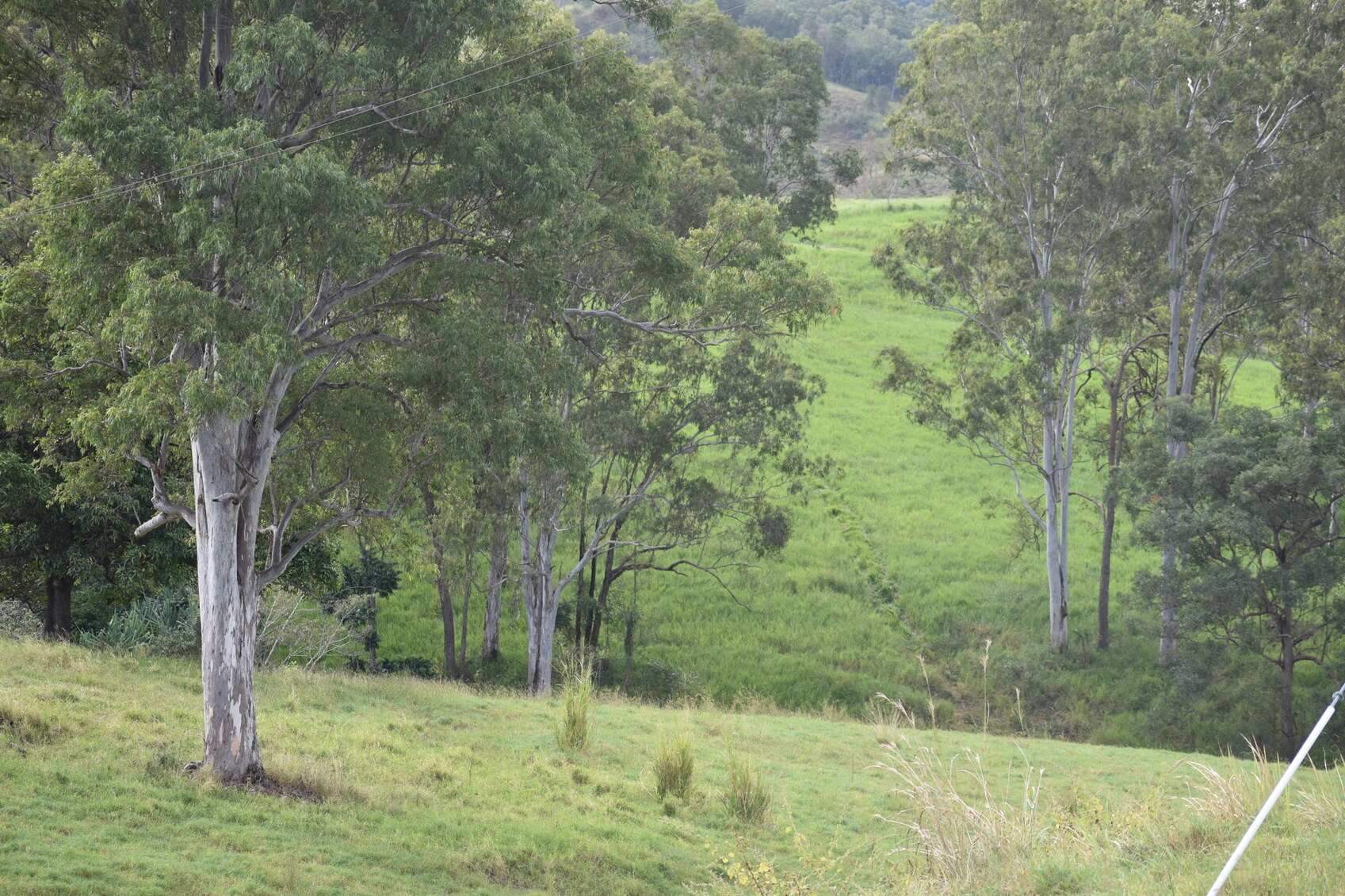 rural property for sale QLD