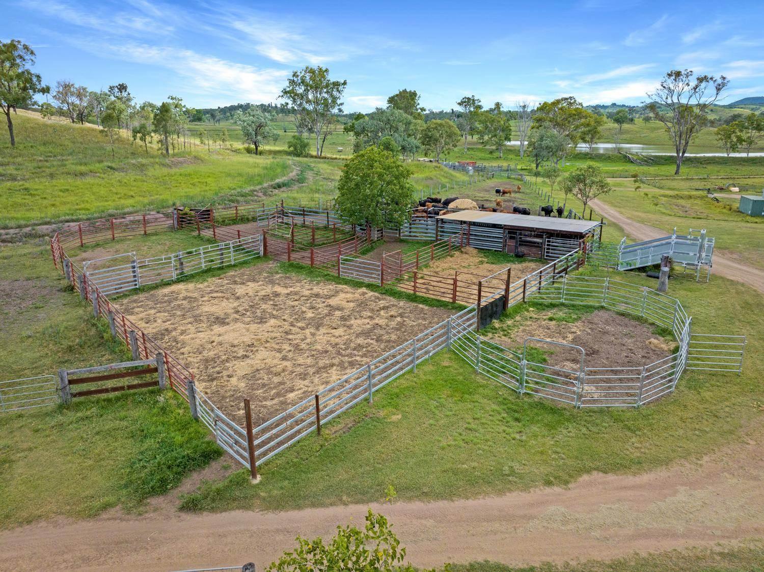 Large Cattle And Cropping Property For Sale South East QLD