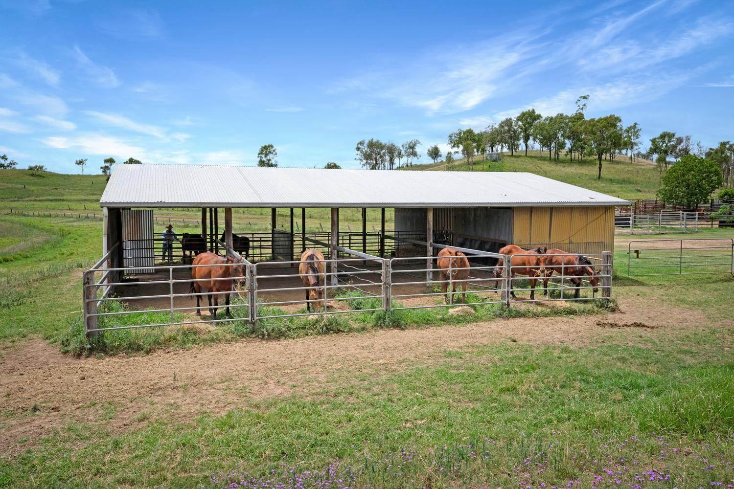 Cattle Property For Sale QLD