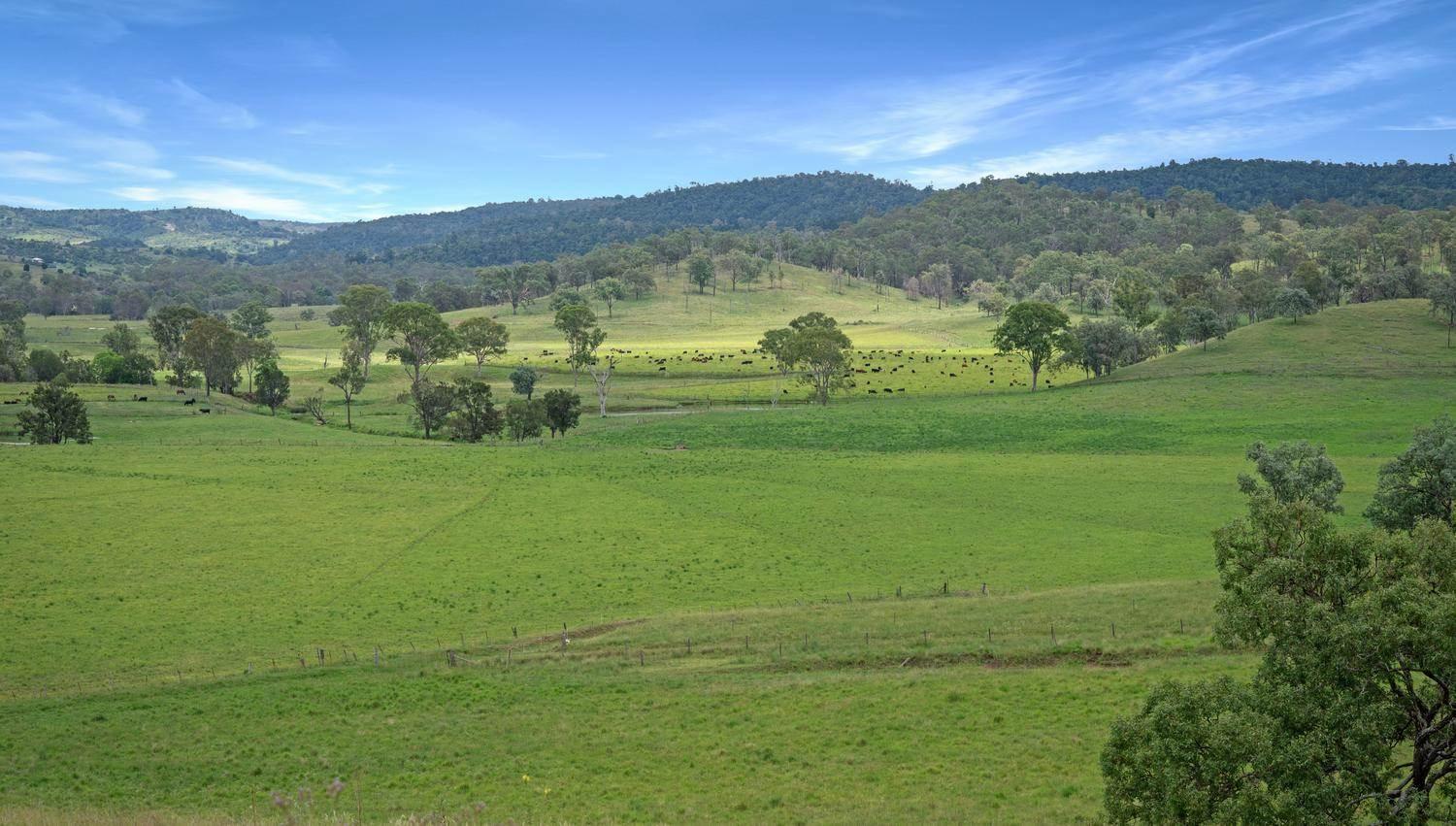  Cattle Property For Sale QLD