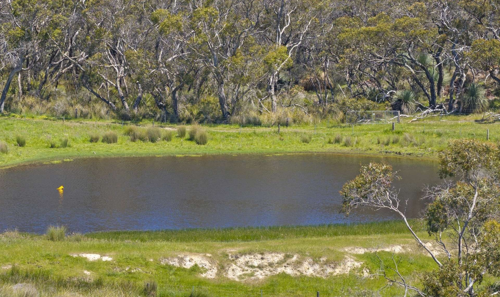 rural property for sale SA