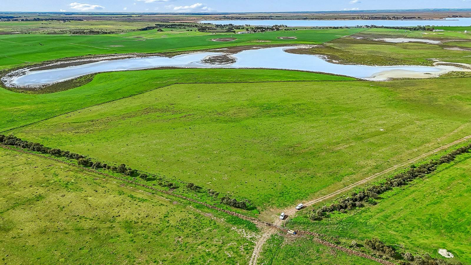 Cattle Property For Sale SA