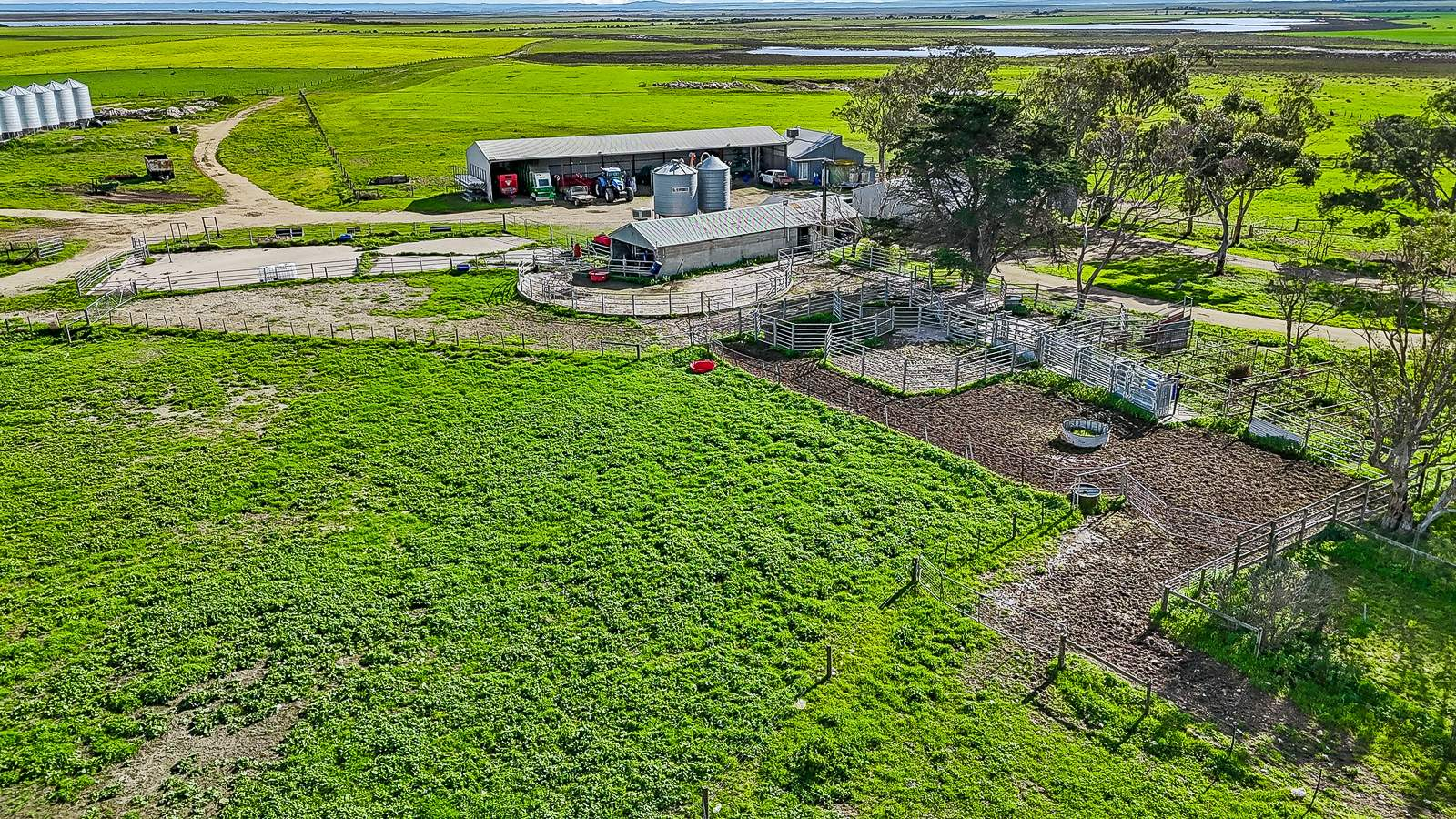 Cattle Property For Sale SA