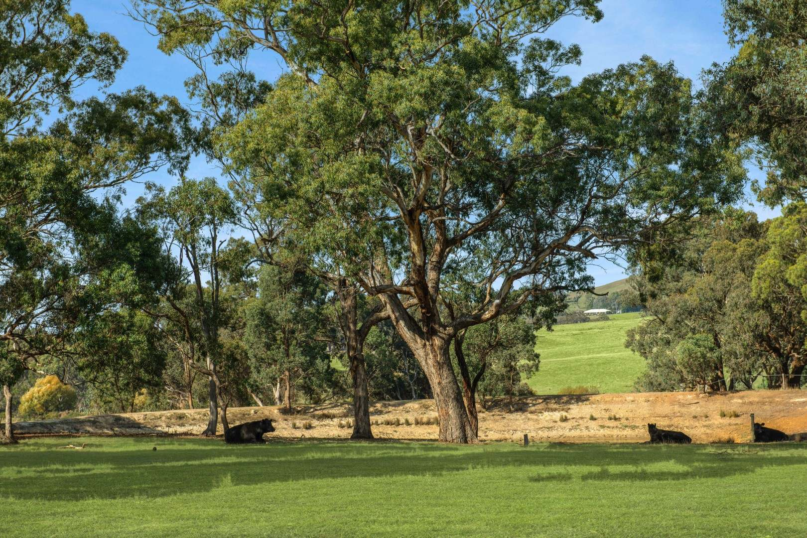 rural property for sale VIC