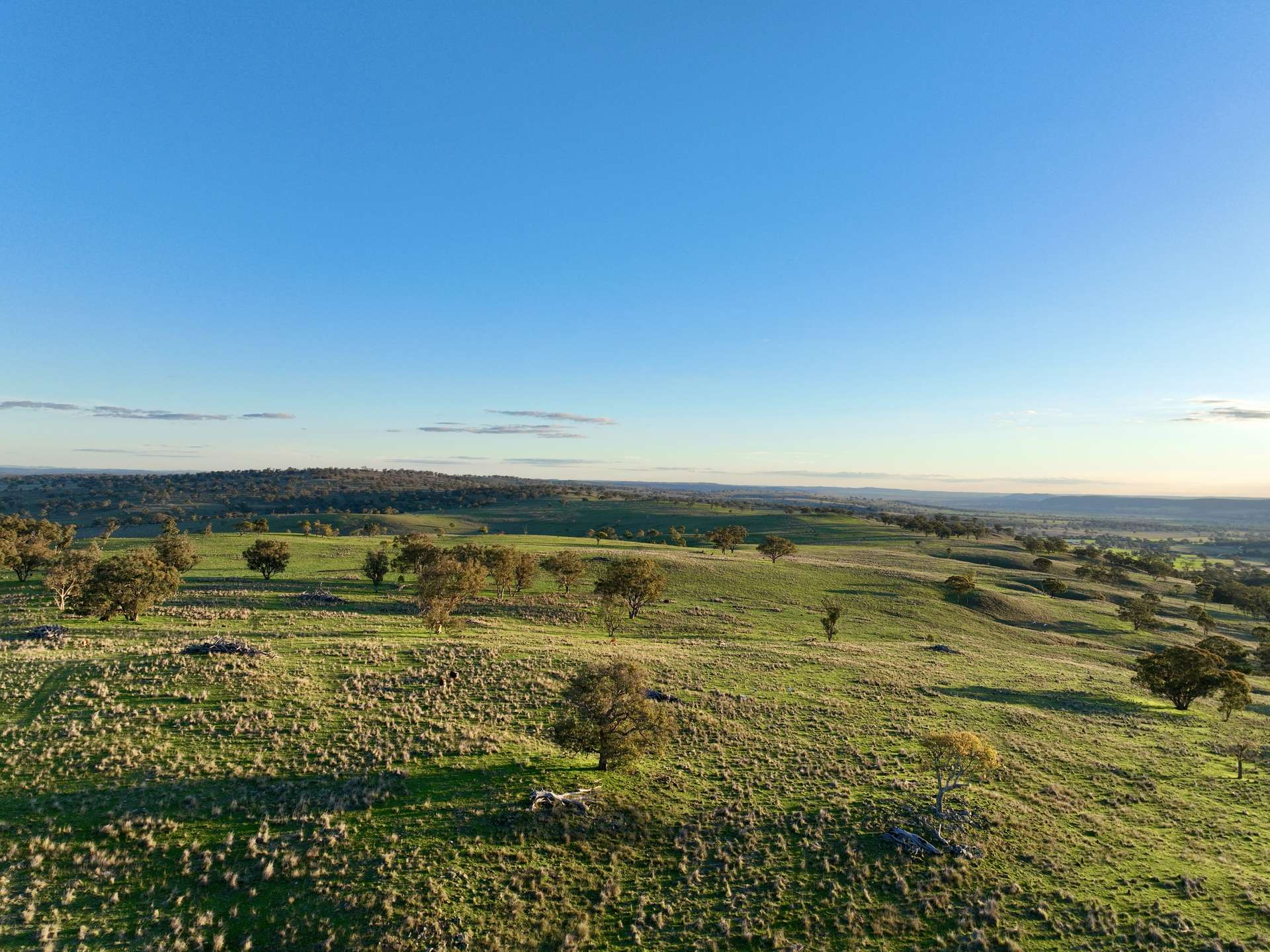 cattle property for sale NSW