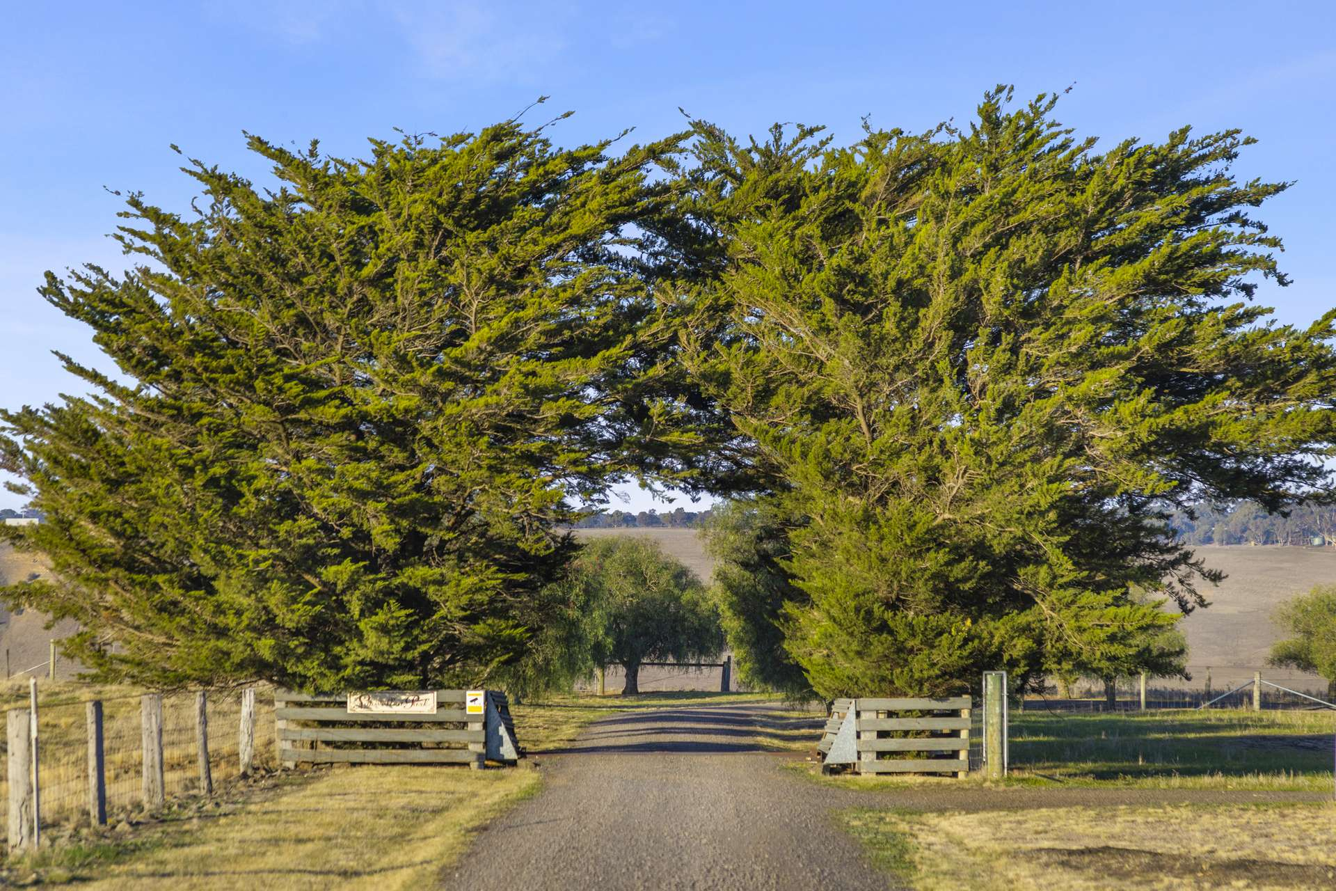 rural property for sale VIC