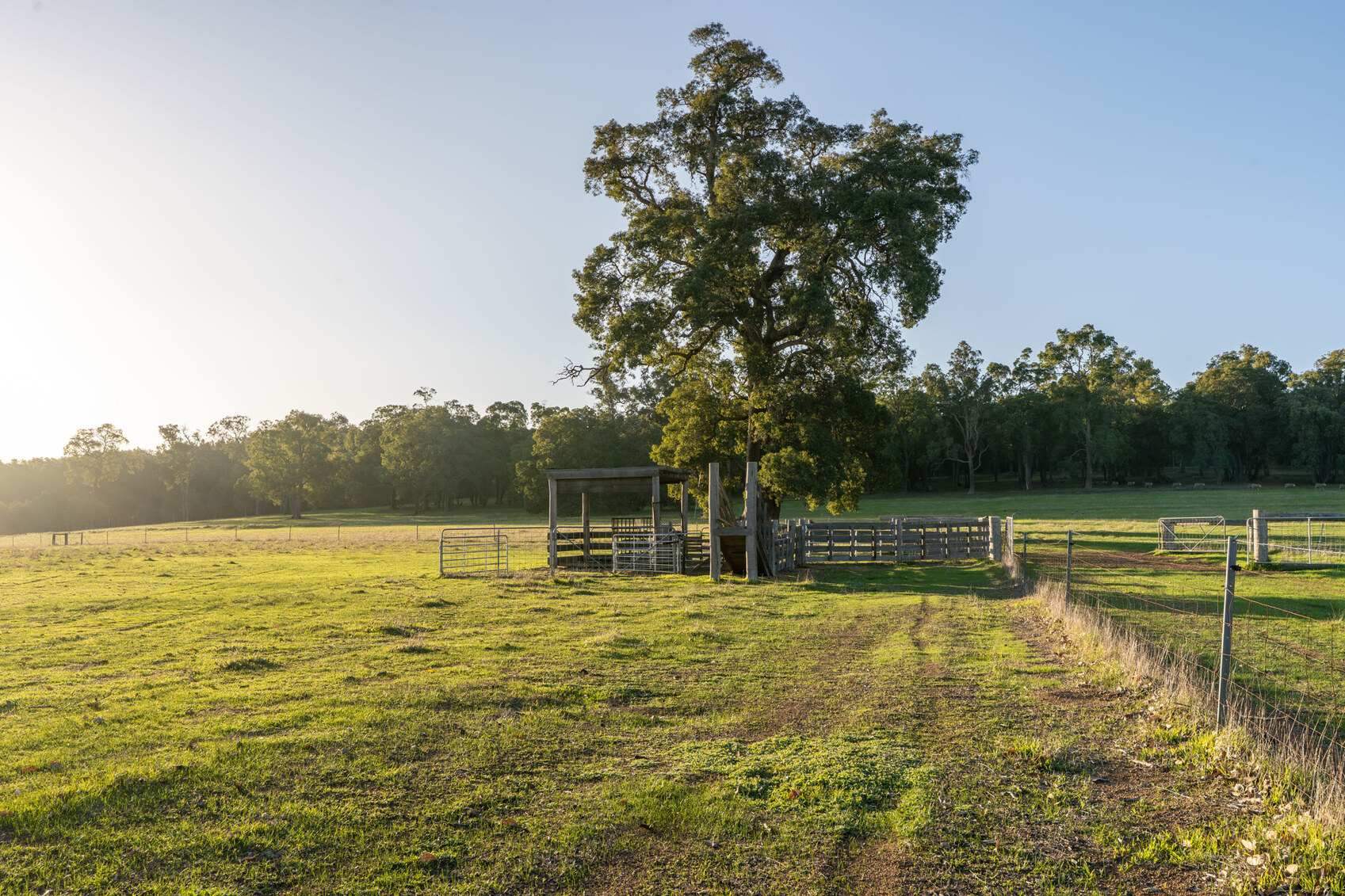 rural property for sale WA
