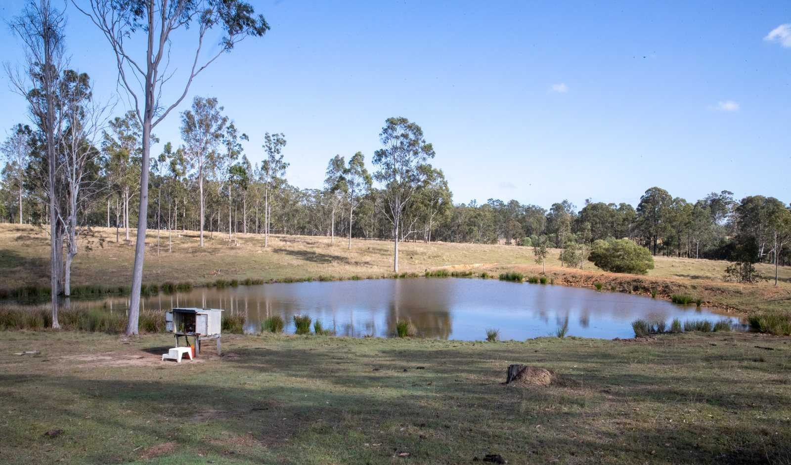 cattle property for sale QLD