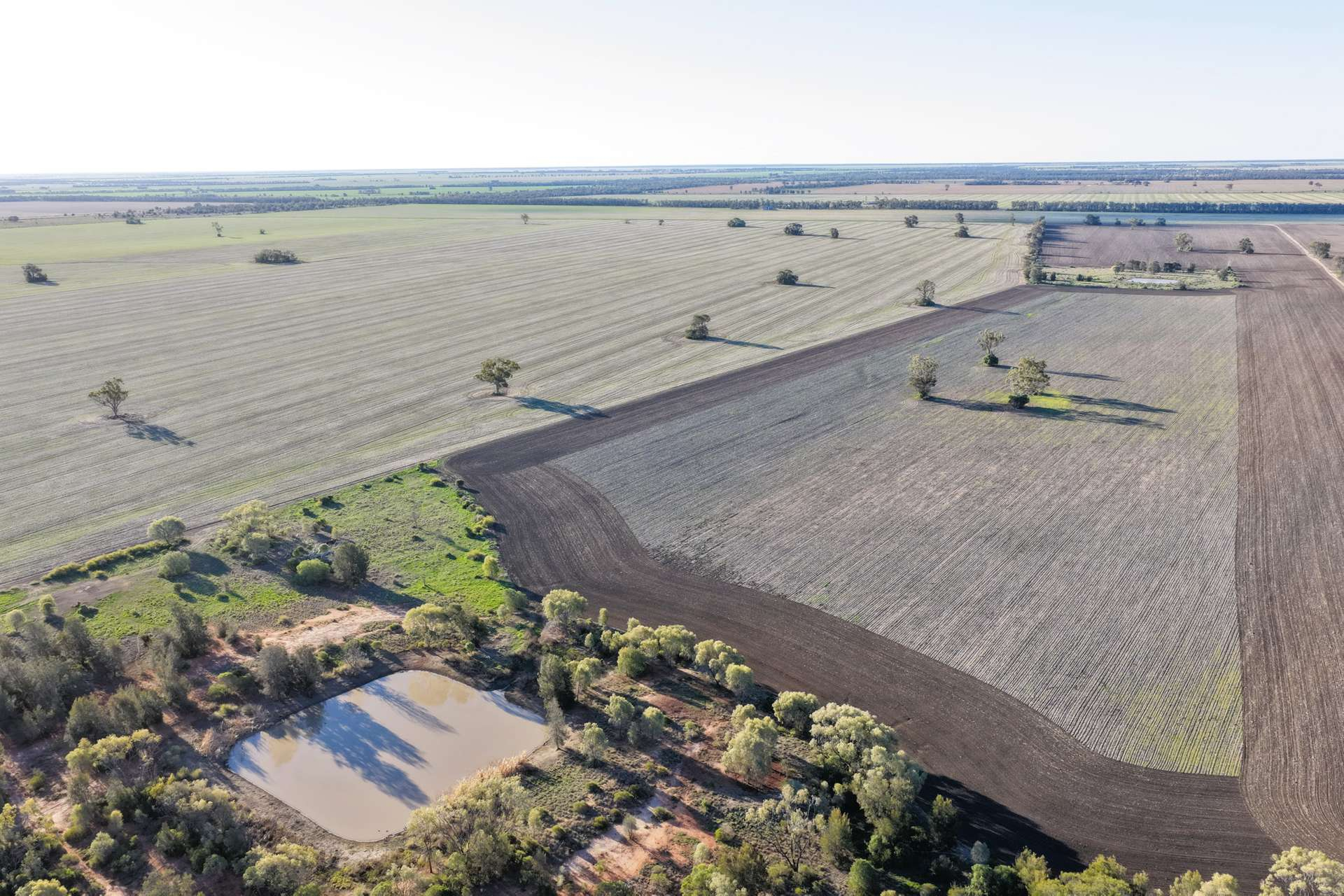 Farm For Sale NSW