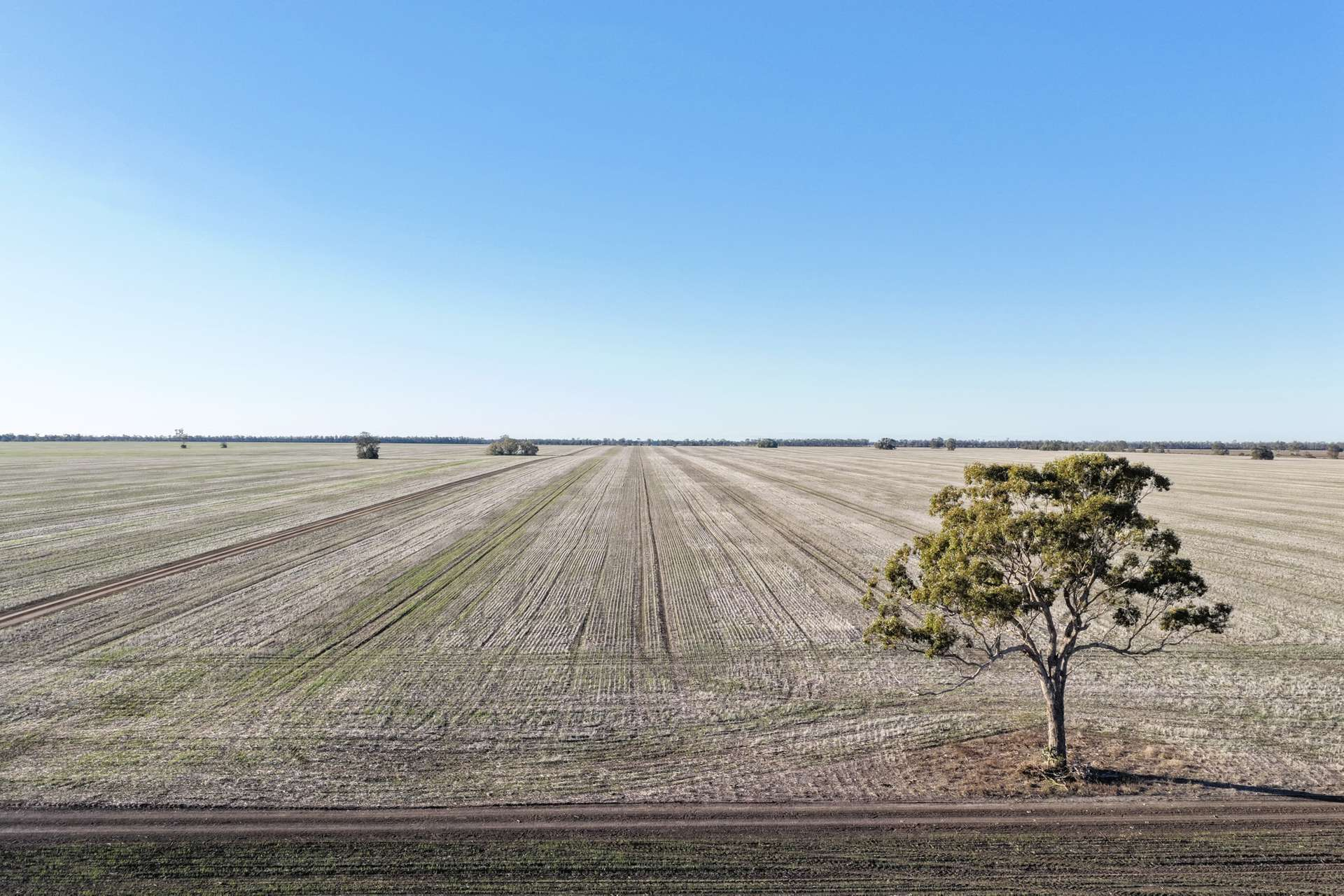 Farm For Sale NSW
